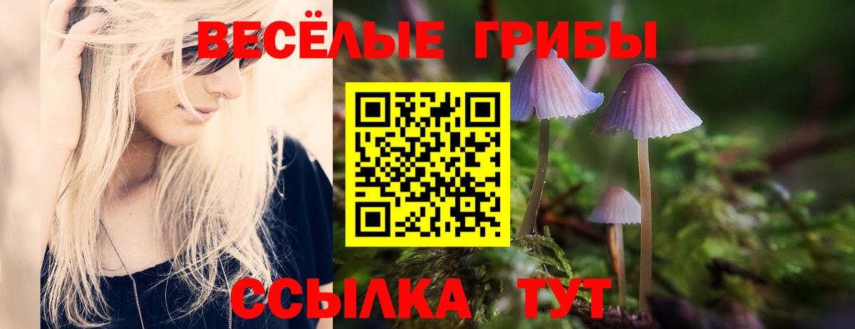 Дзержинский  Галлюциногенные грибы Psilocybe  Псилоцибиновые грибы мицелий  Вход с VPN 